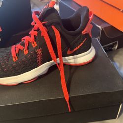 Lebron Nikes