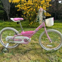 Trek 20 inch, “MYSTIC “