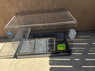 Bunny cage