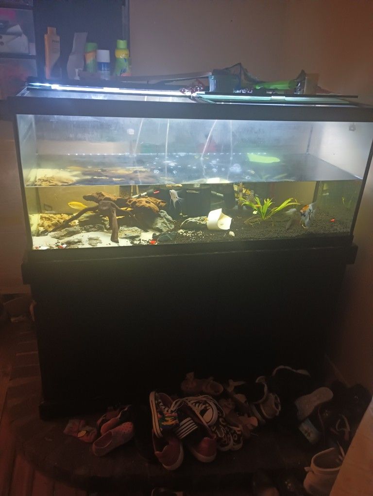 75gallon With Stand 