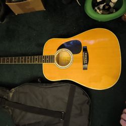 Esteban Acoustic Electric AL-100