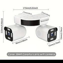 Security Camera Two In One 