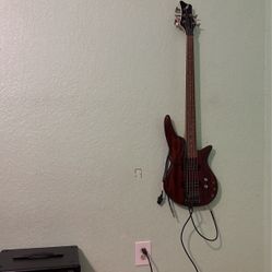 5 String Bass & AMP