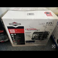 Portable Generator Briggs And Stratton 