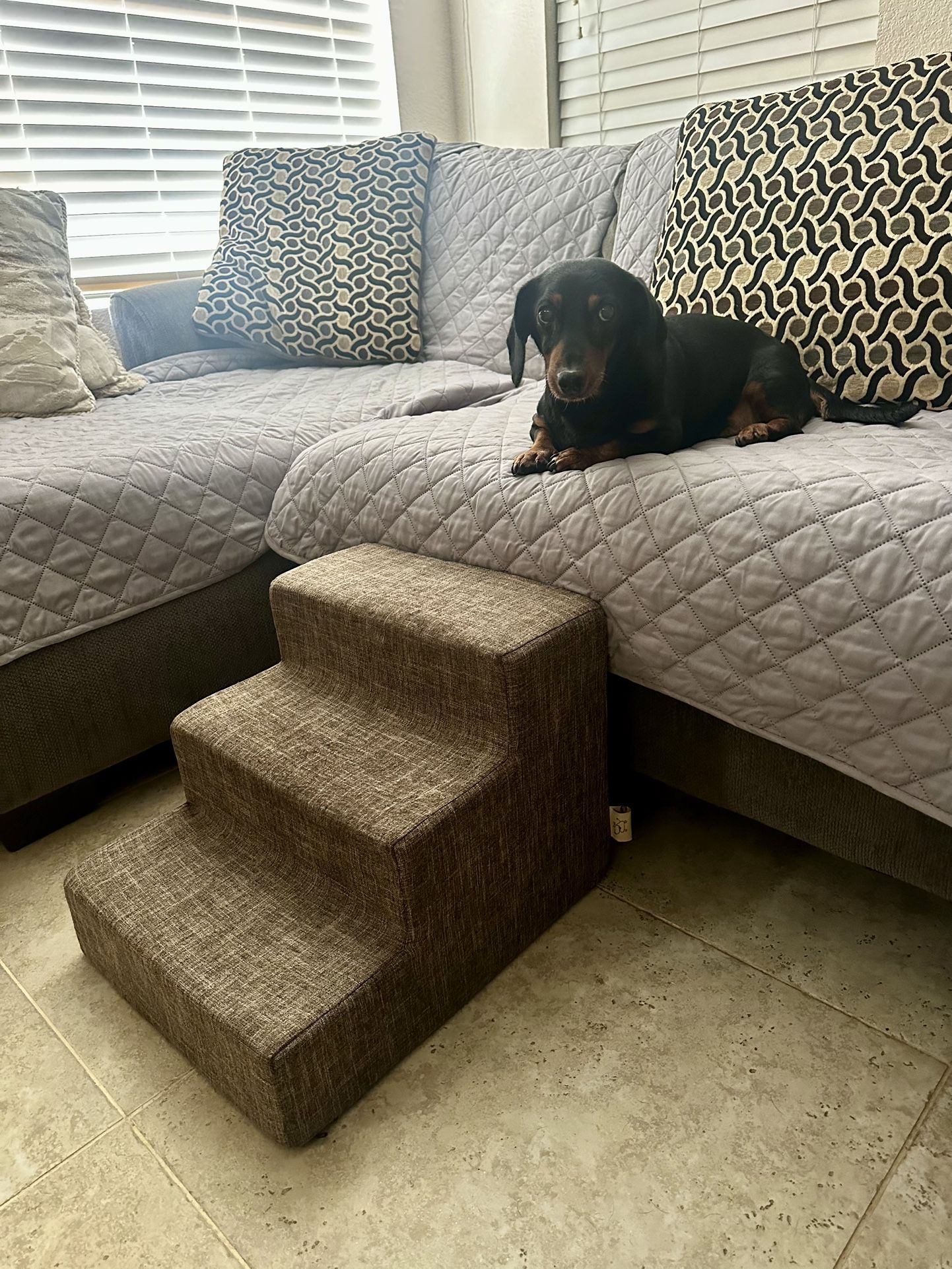 Best Pet Supplies Foam Pet Steps for Small Dogs and Cats