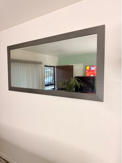 Horizontal Or Vertical Mirror 65 X 31 Grey - Ish Color