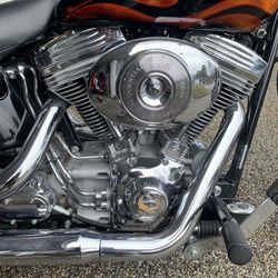 2005 Harley-Davidson Softail Standard