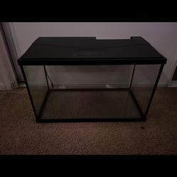 Fish Tank 