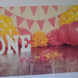 First Birthday Photo Backdrop 