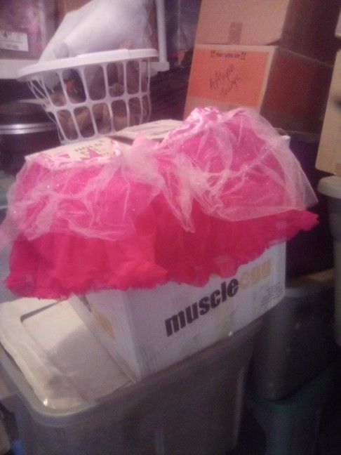 Gold Skirt 2.00, Stripe And Pink Skirt 1.00 Ea., Mouse Ears 200 , 2 Capes  3.00 Ea Hat 1.50 Mask 1.50 