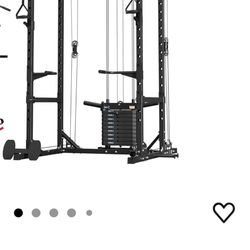 Gym Equipment Set. Rack And Bench 