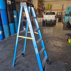 6' ladder 250lbs