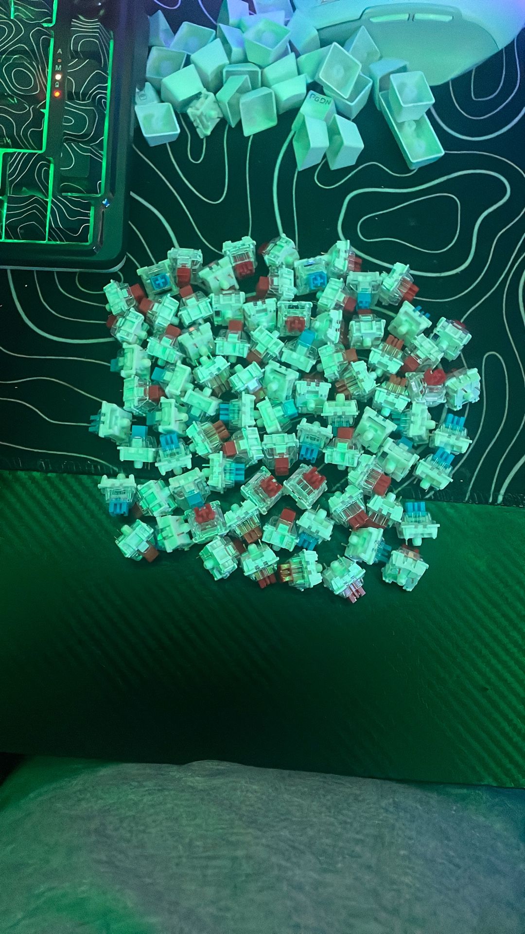 Cream And Clicky Mechanical Keyboard Switches