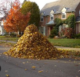 Leaves delivered to your residence!