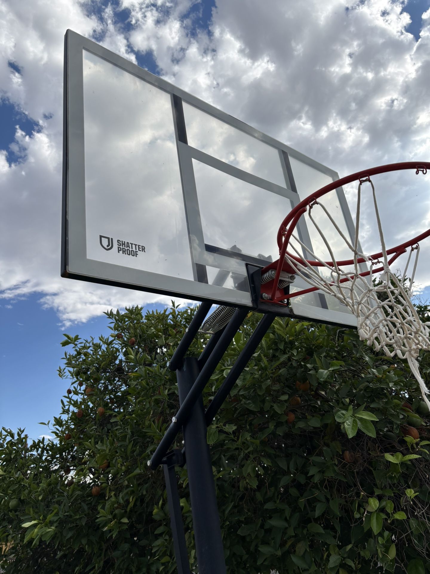 Basketball Ball Hoop