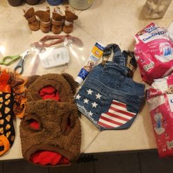 Teacup Chihuahua Costumes, Sweaters, & Supplies $60