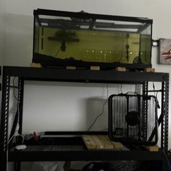 Fish Tank And Rack Stand