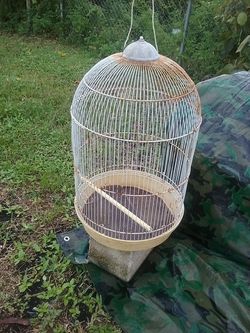 Bird cage