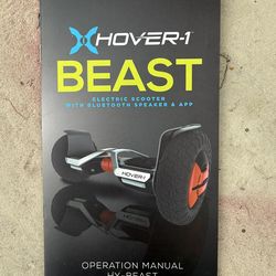 Hoverboard Scooter Attachment  - Beast