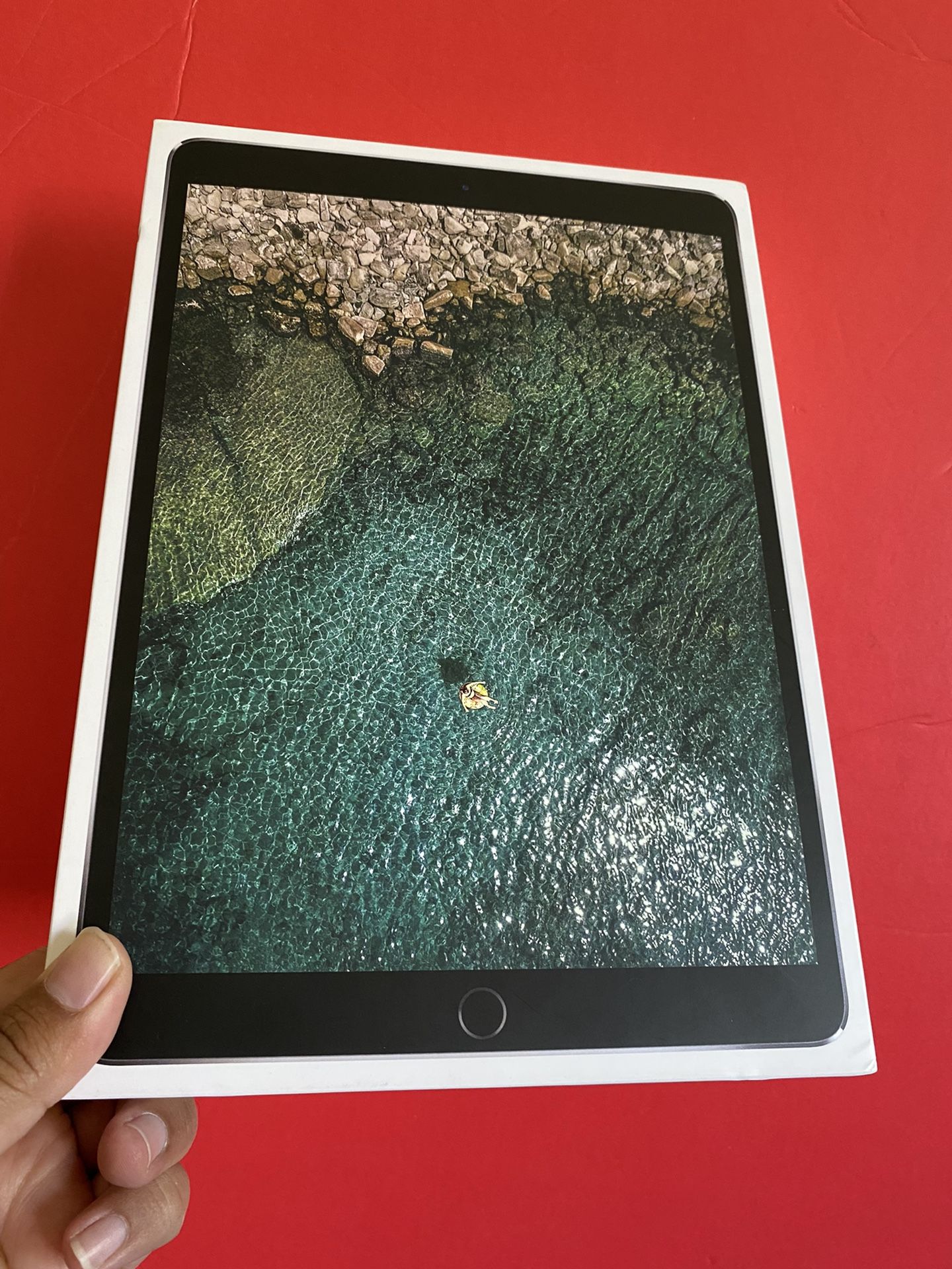 256GB Apple IPad Pro (Retina Display/ latest iOS 15/ 2017