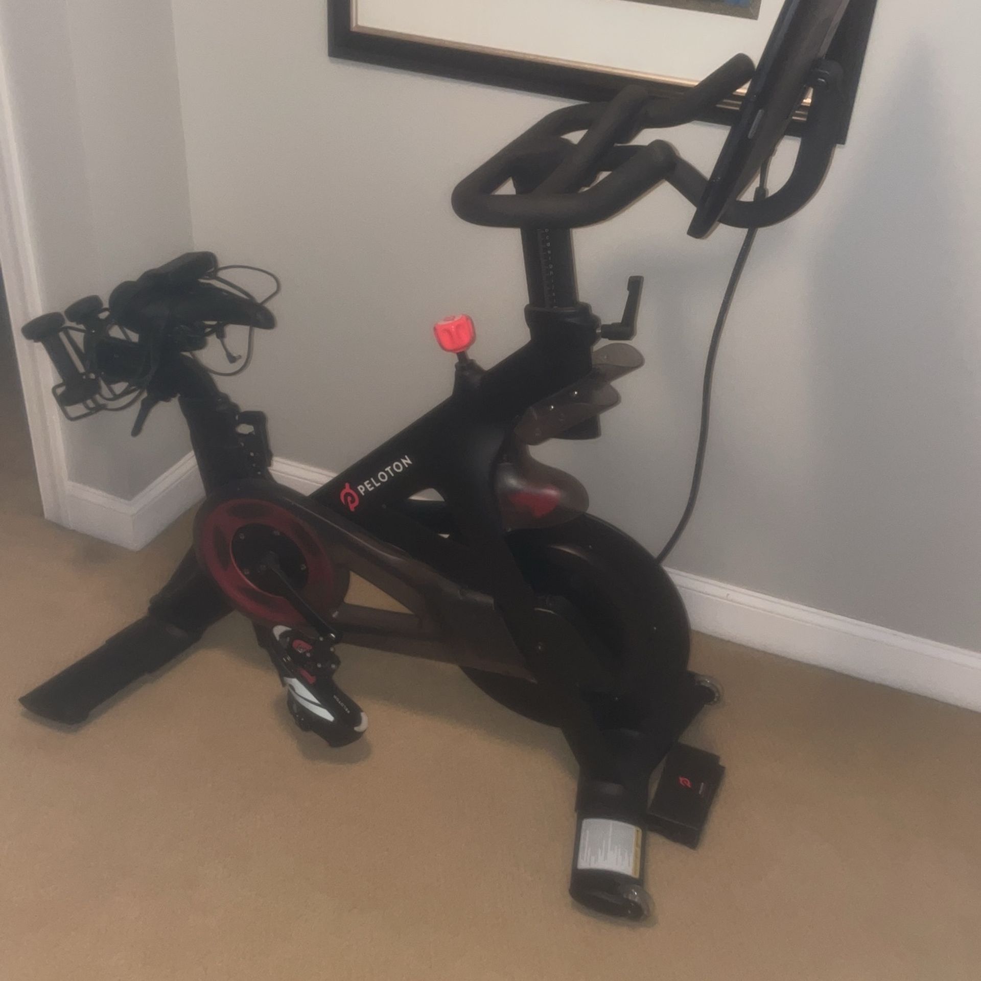 Peloton 1st Gen Pl-01  $800 Obo