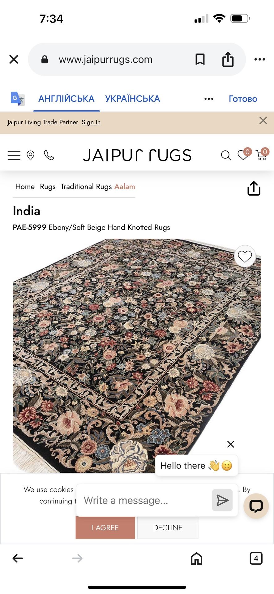 INDIA PAE-5999 Ebony/Soft Beige Hand Knotted Rugs