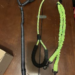 Double Leash And Car Harness 