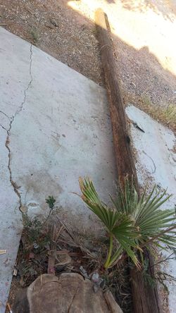 Used Wood Pole