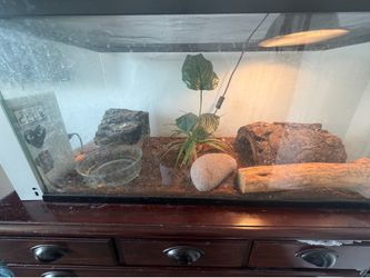 Large Glass Tank (read disc)