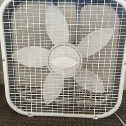 Fan