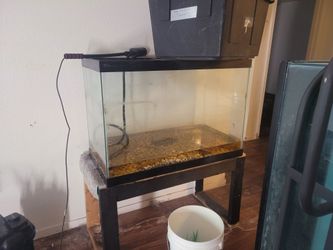 Fish tank