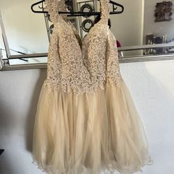 Champagne Dama Dress