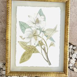 Kirkland’s Gold Frame Shadowbox Magnolia On Paper Floral Wall Art Home Decor