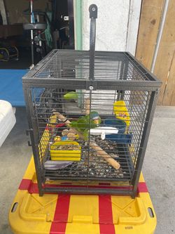 Bird cage
