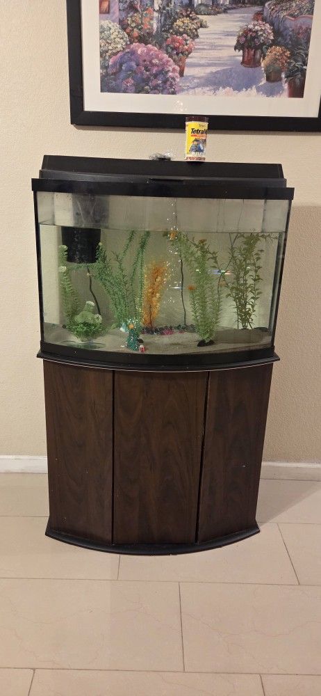 Fish Tank