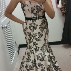 Blush And Black Formal Gown