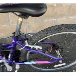 Schwinn Kids' Ranger 24" Mountain Bike, 