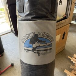 Training Bag Good Condition with Gloves (Still Available)