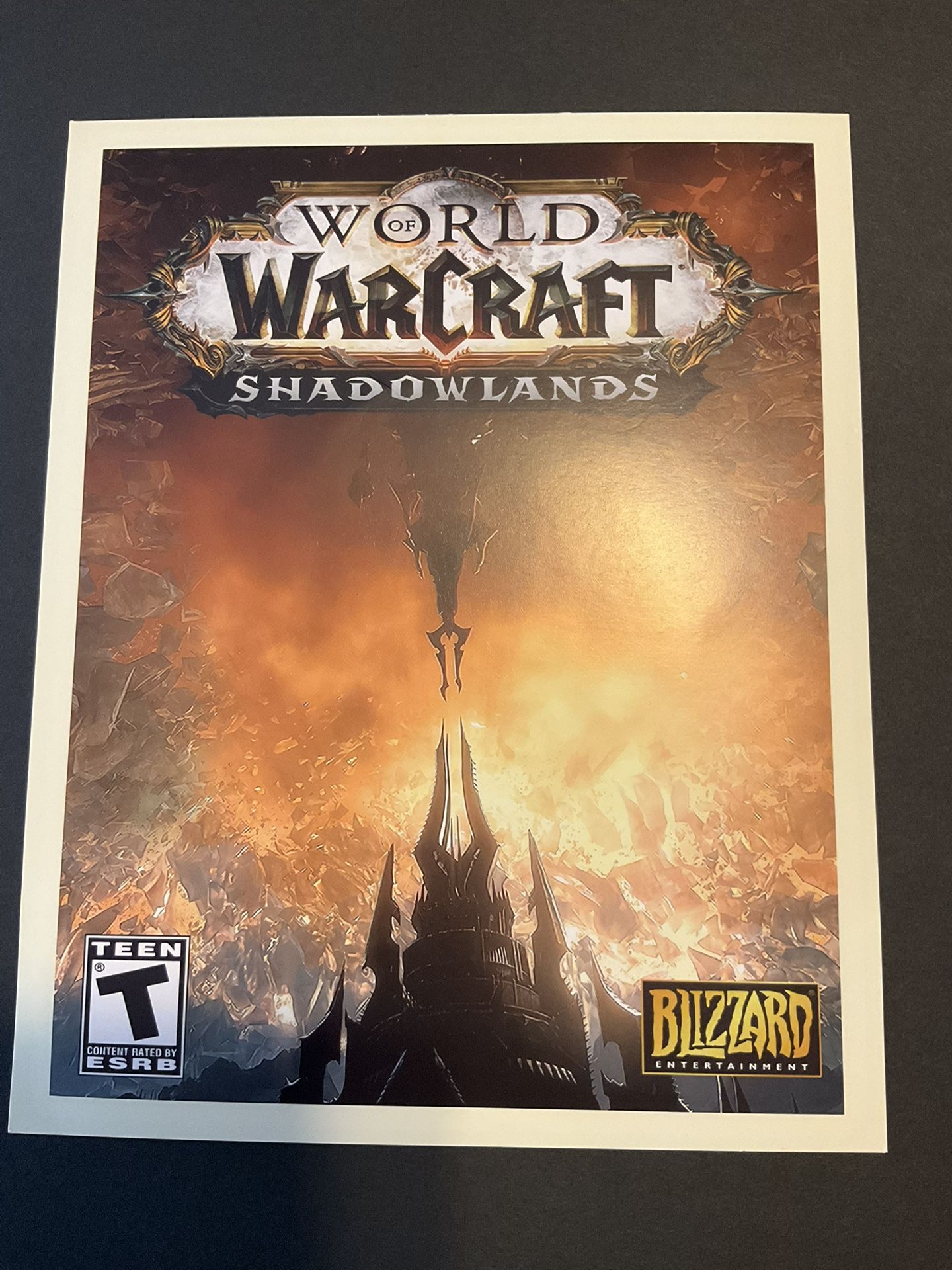 New World WarCraft Shadowlands 8 x 10 poster