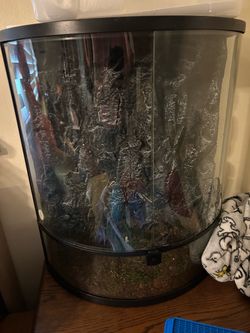 Curved Glass Reptile Terrarium Enclosure