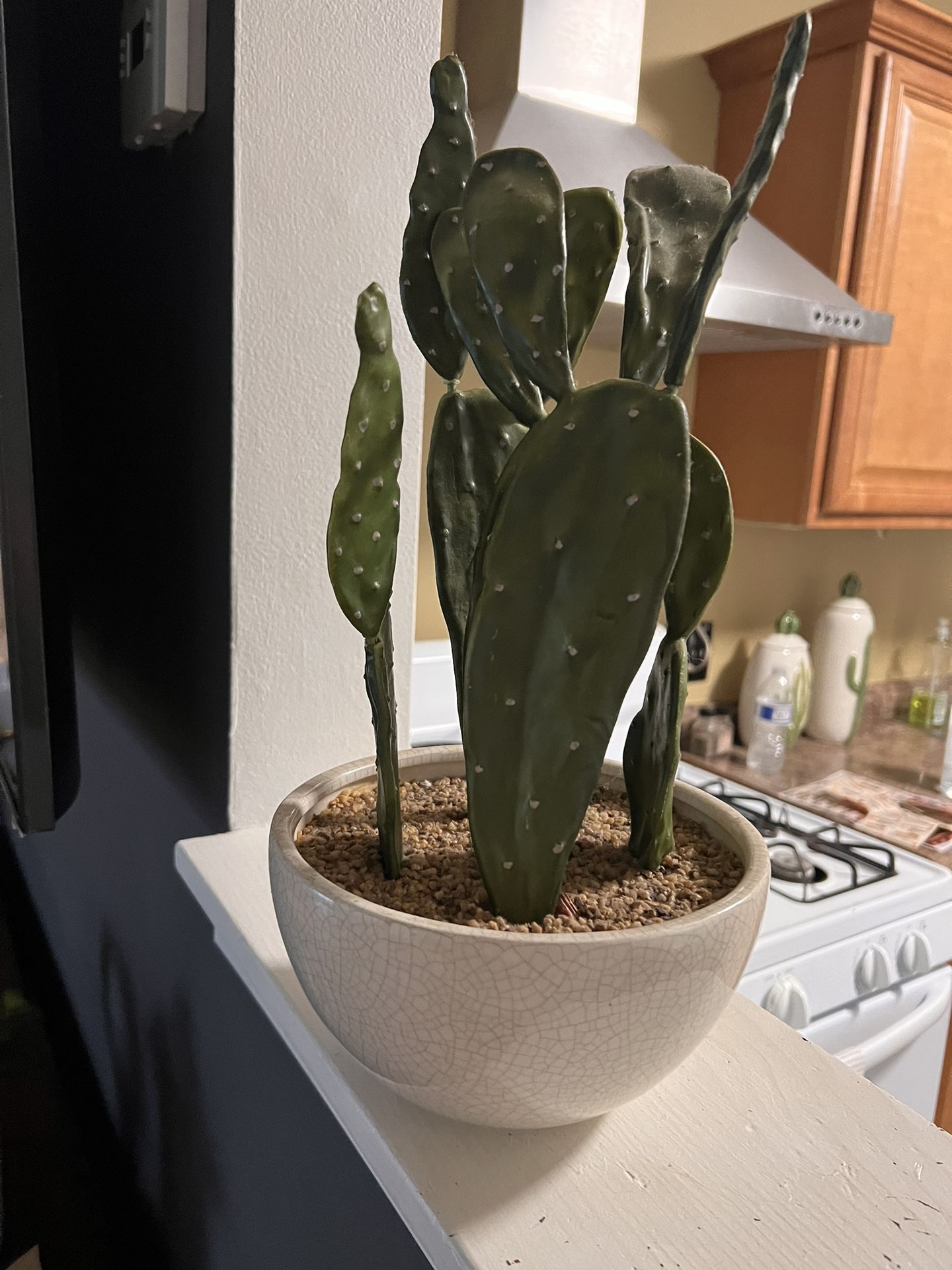 Centro De Mesa De Cactus