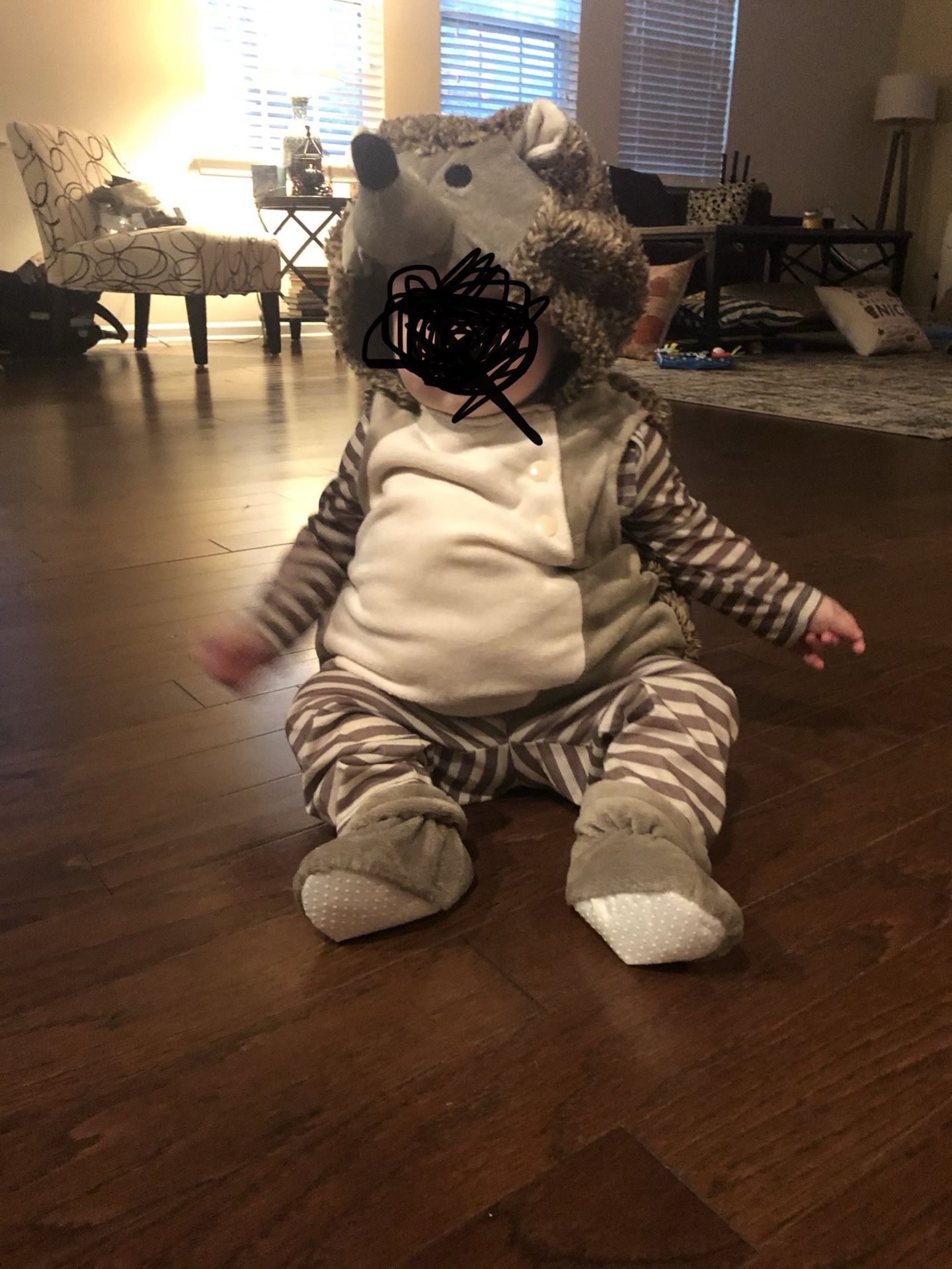 Hedgehog costume