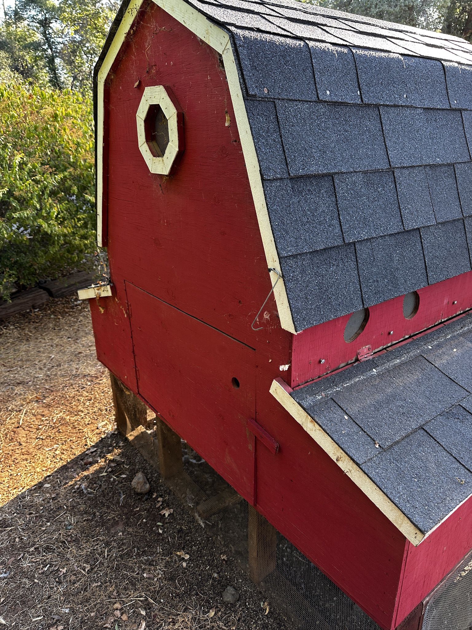 Chicken Coop
