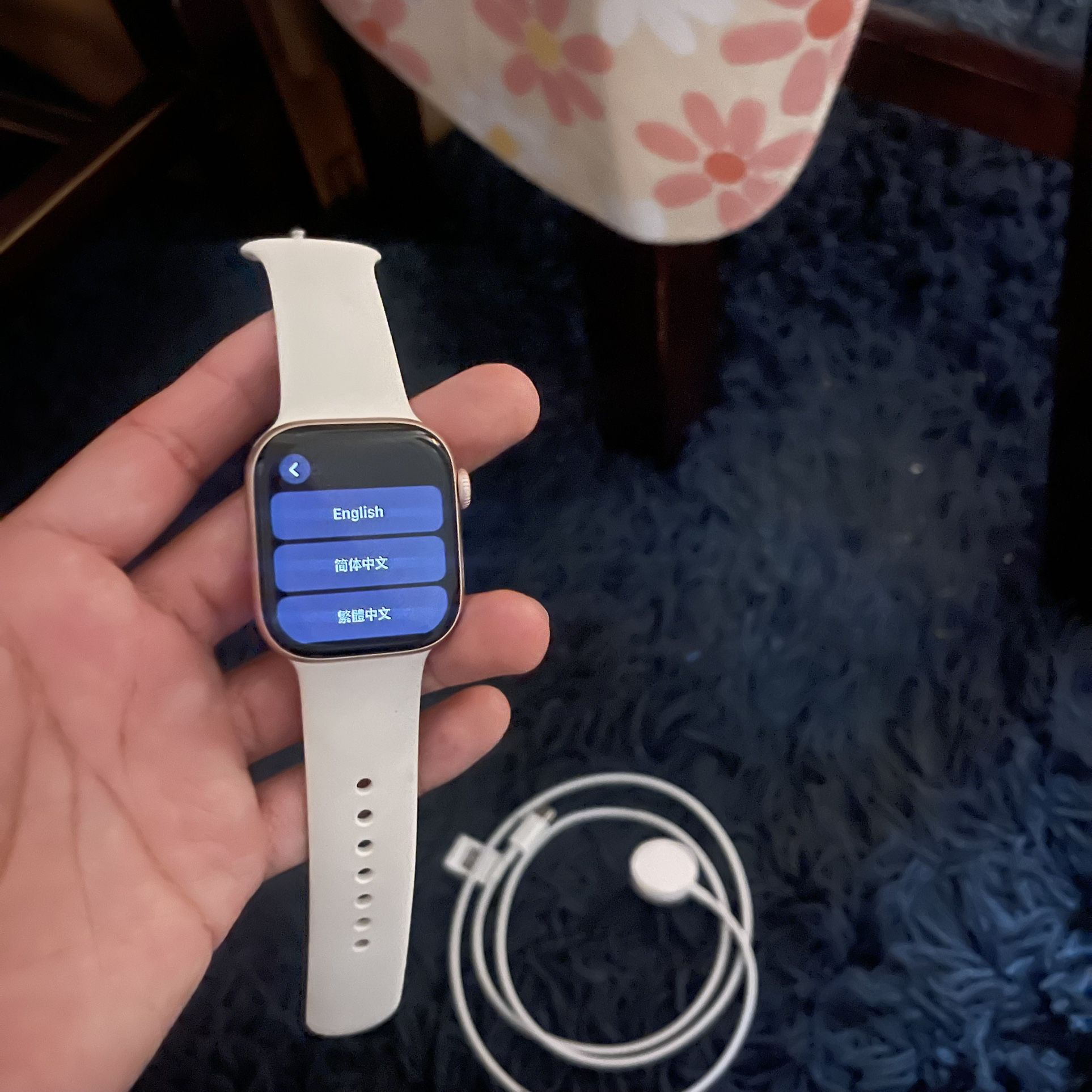 Apple Watch 10 Series LTE And WiFi Edition