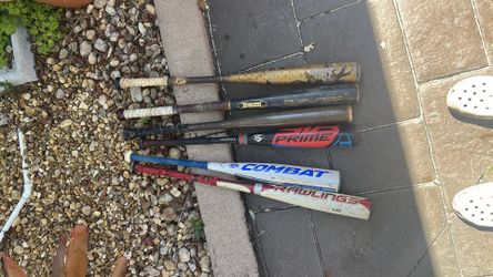 bats