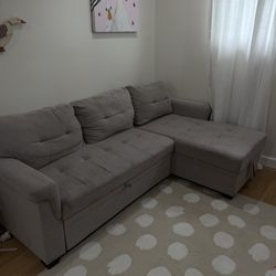 FREE Couch With Storage