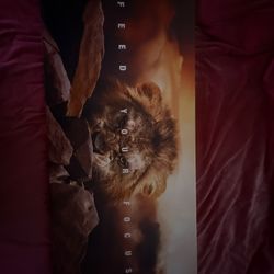 Canvas Art (lion)
