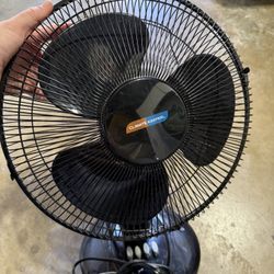 Small Fan 