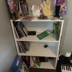 Kids Book Shelf 