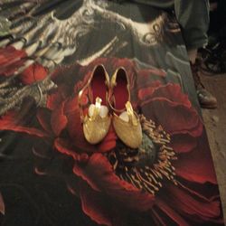 Brides Maid Shoes Gold Size 6